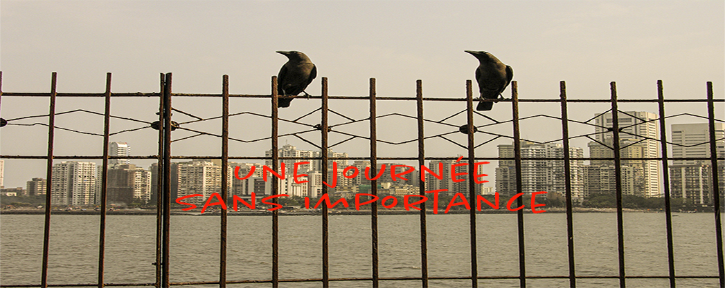 Flyer pour le film: an usual day, sur une grille, deux corbeaux s'agitent joyeusement dans un commérage d'oiseaux, derrière-eux la baie de Mumbaï, sur le rivage lointain se dressent les nombreux immeubles d'affaires, des publicités tapageuses