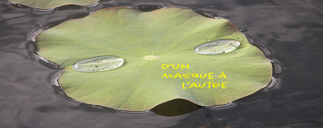 Flyer pour le recueil de poésies intitulé: D'un masque à l'autre, Pl éditeur, France, déployée sur un plan d'eau, une feuille de nénuphare où deux gouttes de pluie suggèrent les yeux d'un masque vert